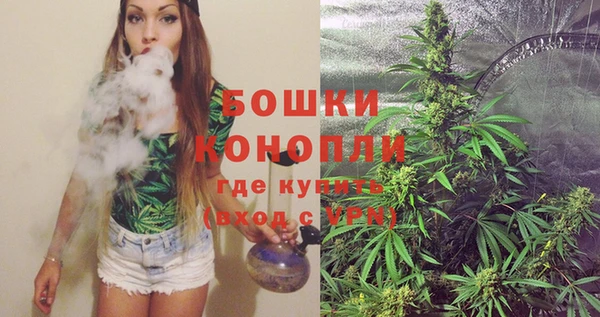 PSILOCYBIN Беломорск