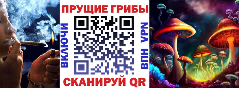 Купить закладки  Волгореченск  Галлюциногенные грибы прущие грибы 