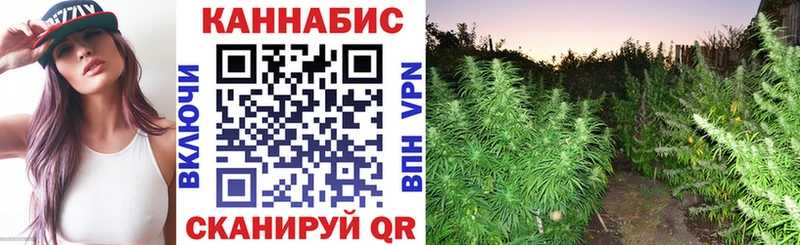 Купить где  Волгореченск  Бошки Шишки сатива 